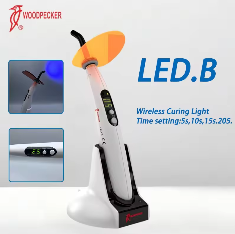 Dental Curing Light Woodpecker - Teeth Whitening Light review and price