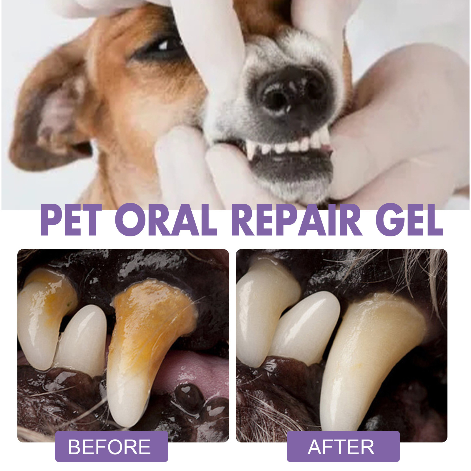 Pet Oral Repair Gel Puppy Tart - Teeth Whitening Ulta review and price