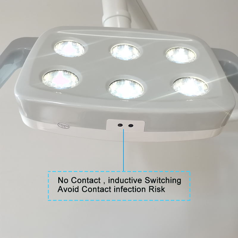 6LED Dental LED Lamp Oral Ligh - Teeth Whitening Light review and price