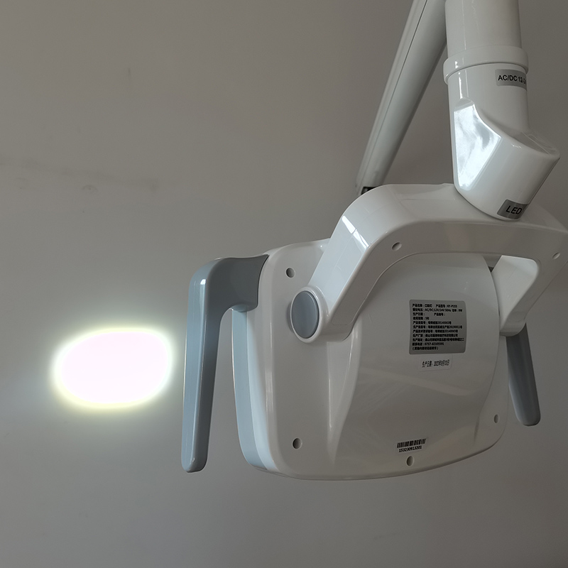 6LED Dental LED Lamp Oral Ligh - Teeth Whitening Light review and price